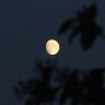 Increasing moon 