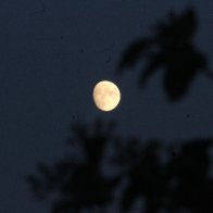 IMG_9225.JPG