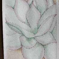 succulent.jpg