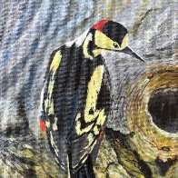 IMG_1364.jpeg