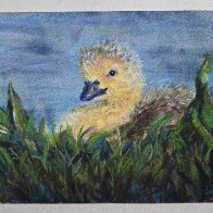 Gosling Pastel.jpg