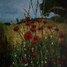 Poppy Field