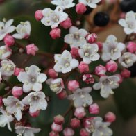 IMG_7106.jpeg