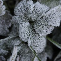 IMG_7098.jpeg