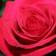 IMG_7067.jpeg