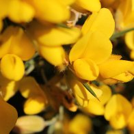 IMG_7058.jpeg