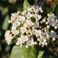 IMG_7062.jpeg