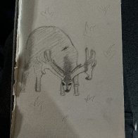image.jpg