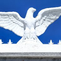 Eagle Has Landed...On Susak.jpg