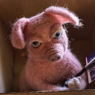 Woolly Miss Piggy.jpg
