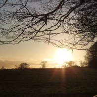 IMG_7082.jpeg