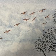 IMG_2932.jpeg