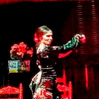 Flamenco in Spain march 2026.jpg