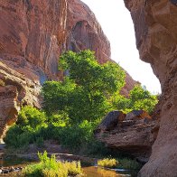 LeftHandMillCreek-062326-2.jpg