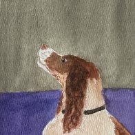 IMG_0820.jpeg