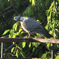 IMG_9472(1).JPG