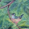 Hummingbird