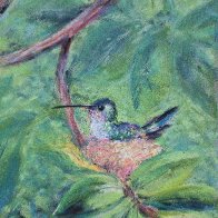Hummingbird pastel.jpg