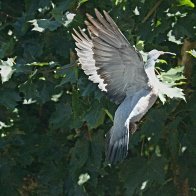 IMG_9599(1).jpg