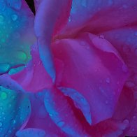 Beauty Itself filter2.jpg