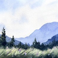 IMG_2335.jpeg