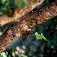 IMG_9657(1).jpg