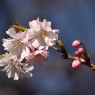 _DSC0113.jpeg