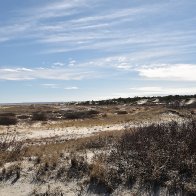 _DSC0473.jpeg