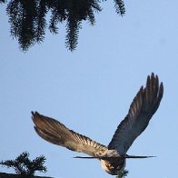 Take off.jpg