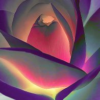 White Rose filter2.jpg
