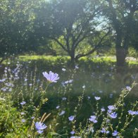 IMG_9340.jpeg