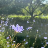 IMG_9341.jpeg
