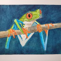 Green and Turquoise frog on branch.jpg