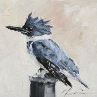 042720_kingfisher.jpg