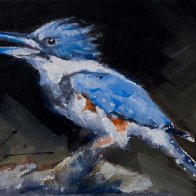 021118_kingfisher.jpg