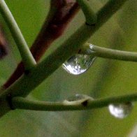 IMG_0331 (1)(1).JPG