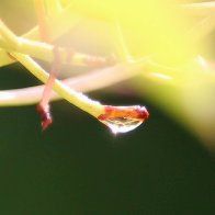 IMG_0360(1).JPG