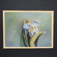 Pansy-PMP0172.JPG