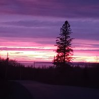 20260511_204506_HDR~2.jpg