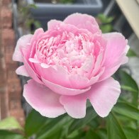 IMG_9007.JPG