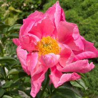 IMG_8961.JPG