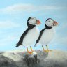 Puffins friends