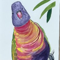 IMG_0545.jpeg