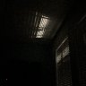 Light