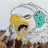 IMG_4746.jpeg