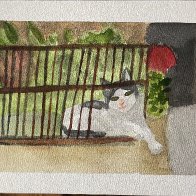 IMG_4093.jpeg