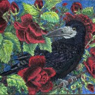IMG_4511.jpeg
