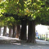 IMG_0608.JPG