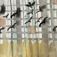 IMG_0955.jpeg
