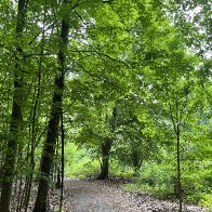 IMG_8906(2)(1).jpg
